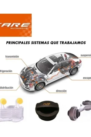 A Buen Precio FUELLE DIRECCION DCHO. AUDI A3 / A - FARE 14263